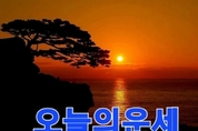 [오늘의 운세] 2025년 2월 5일(수) #오늘도행복하세요