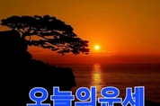 [오늘의 운세] 2025년 4월 30일(수) #오늘도행복하세요