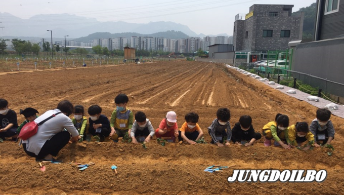 텃밭경작사진 = 자료사진 경기도