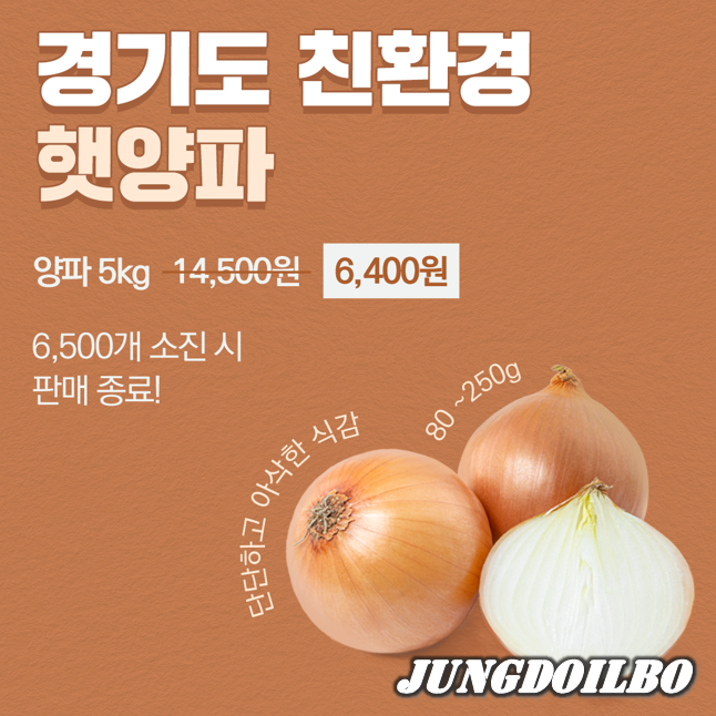 경기도 친환경 양파, 카카오톡에서 최대 56% 할인가로 구매하세요