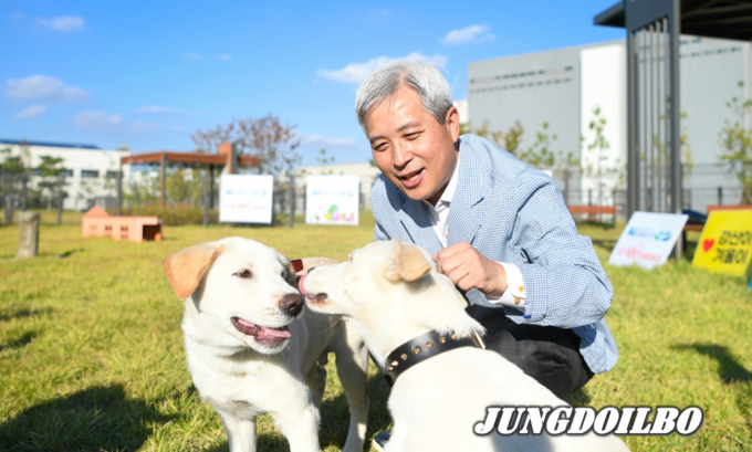 오산시는 청와대로부터 풍산개 한 쌍‘강산’이와‘겨울’이를 분양받아 오는 12월 개장예정인 오산시 반려동물테마파크에서 키우게 됐다고 13일 밝혔다 = 자료사진 오산시