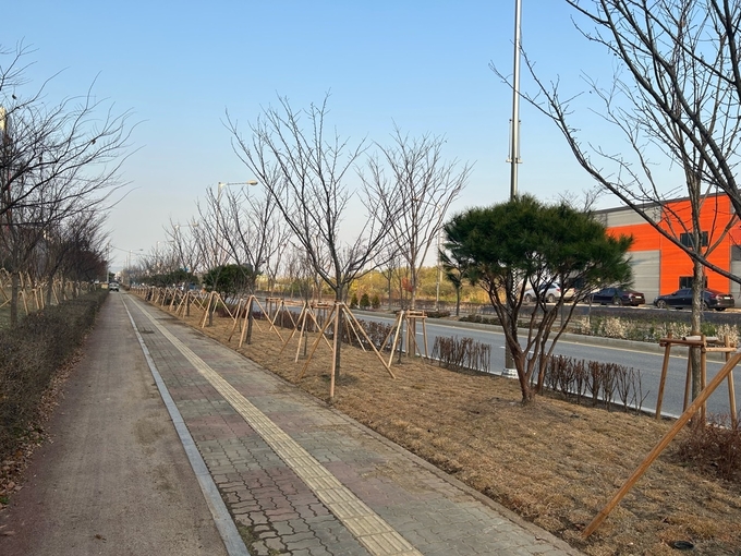 수원델타플렉스 주변에 조성된 미세먼지 차단숲.