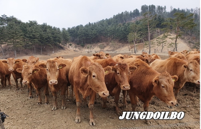 한우명품