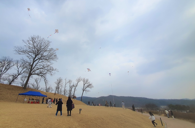 용인특례시 처인구 남사읍 처인성 일대에서 개최된 제1회 처인성 어린이 연날리기 대회에 참가한 어린이들이 연을 날리고 있는 모습