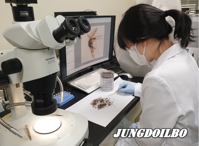 4~10월 말라리아 선제 대응을 위해 ‘말라리아매개모기 감시사업’ 실시