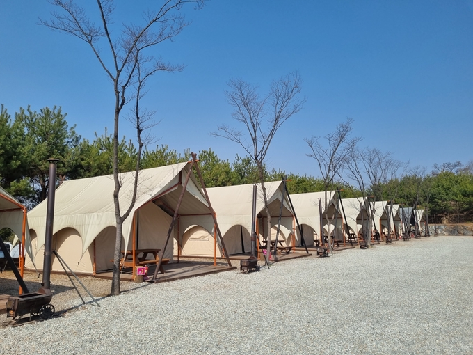 용인특례시가 야영장 안전과 위생을 점검하기 위한 합동점검을 진행한다_