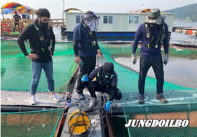 현장조사
