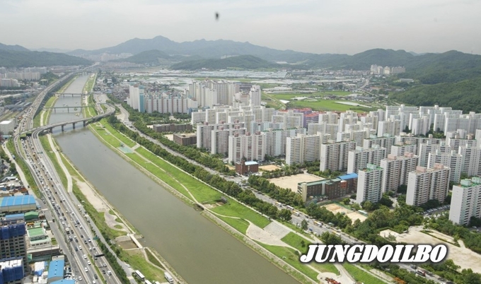 여름 안양천 전경