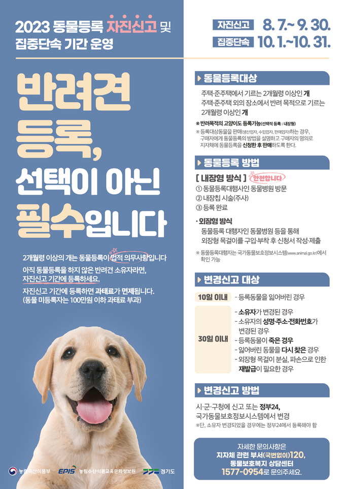 홍보물