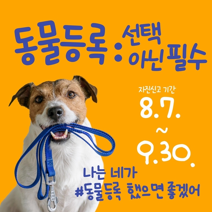 홍보물