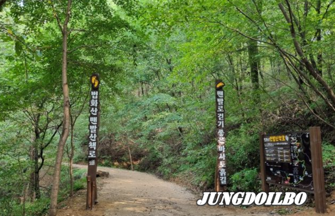  용인특례시가 기흥구 마북동 법화산에 맨발 산책로를 조성했다