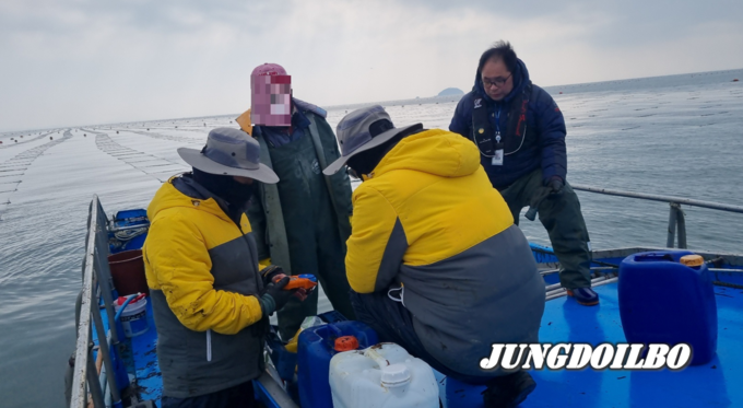 무기산 불법사용 등 불법행위 단속중인 어업 공무원 = 자료사진 경기도