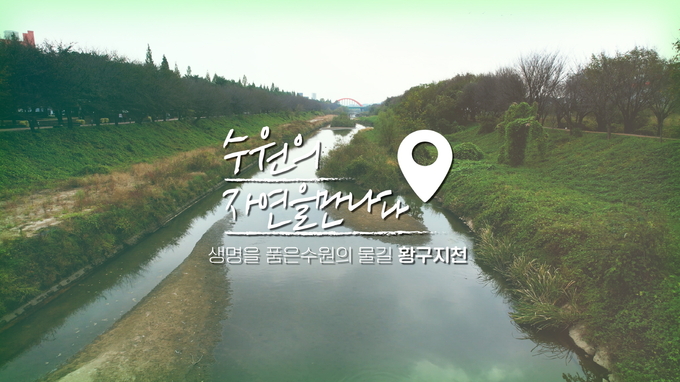 영상 갈무리