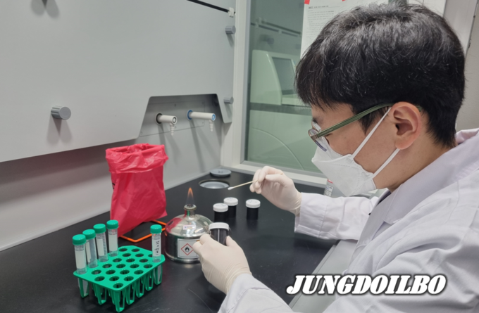 돼지 분변 검사 = 자료사진 경기도 