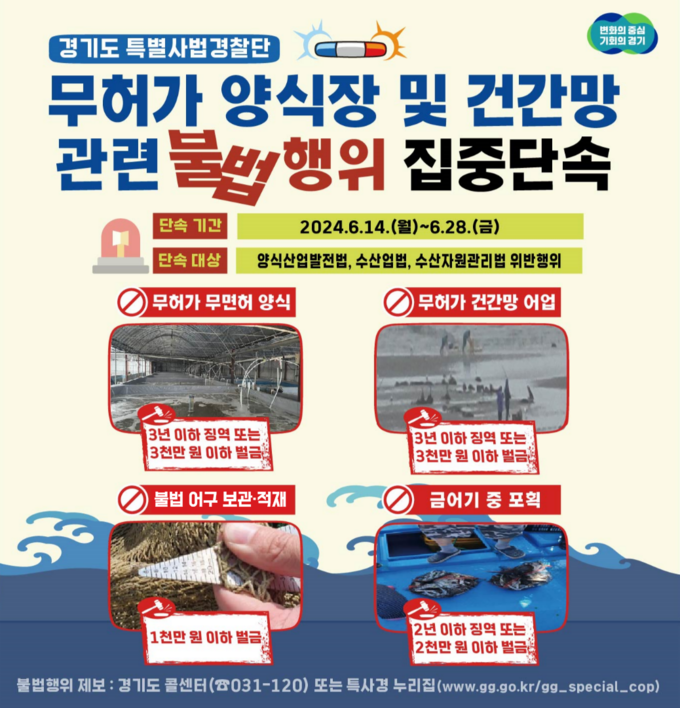 경기도 특별사법경찰단 무허가 양식장 및 건간망 어업 행위 집중 단속