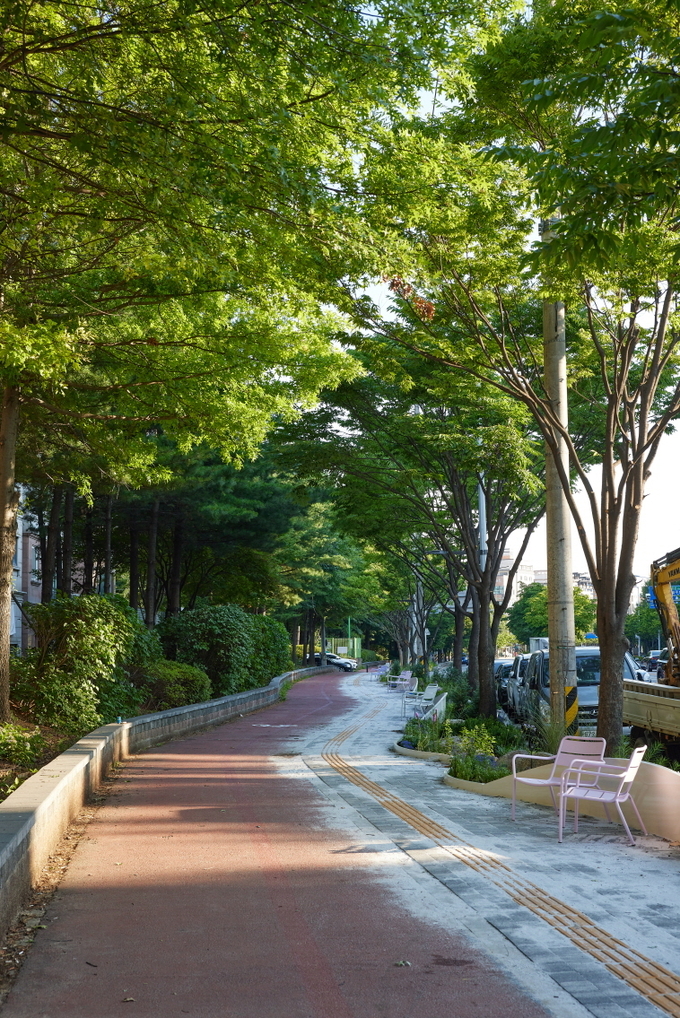 장안구 송원로, 권선구 동수원로 가로숲길 전경