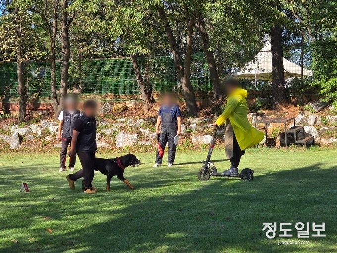 24일 시흥시 반려동물 훈련소에서 열린 맹견 기질평가 사전 모의 시연회에서 참석자들이 시범을 보이고 있다 = 자료사진 경기도
