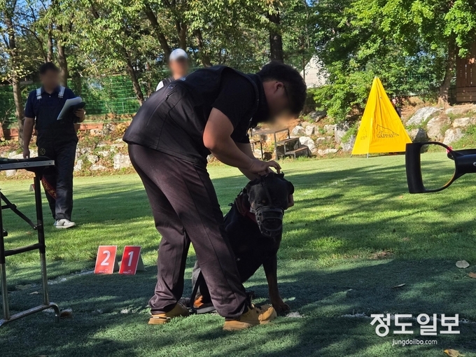 경기도, 맹견 기질평가 시 현장 = 자료사진 경기도
