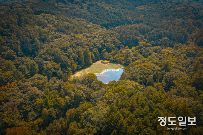 .대상 새들이 목 축이는 곳 = 자료사진 경기도