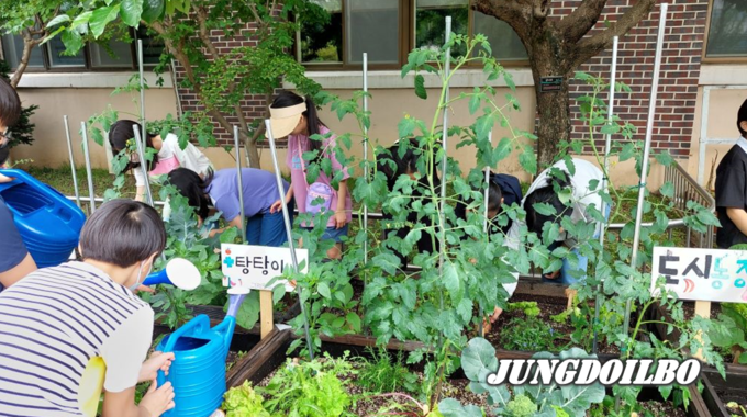 도시농업활성화 사업의 텃밭 재배 교육 모습 = 자료사진 경기도