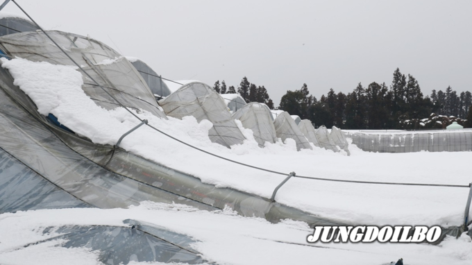 지난 11월 말 발생한 폭설현장 = 자료사진 짐제영 기자