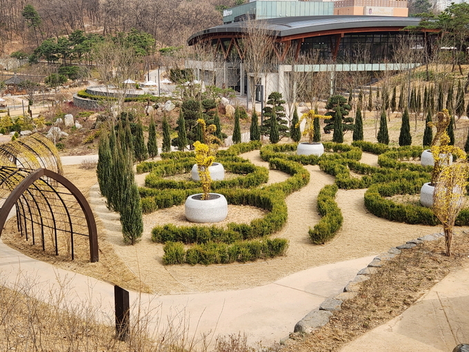 개나리가 핀 영흥수목원 토피어리 정원.