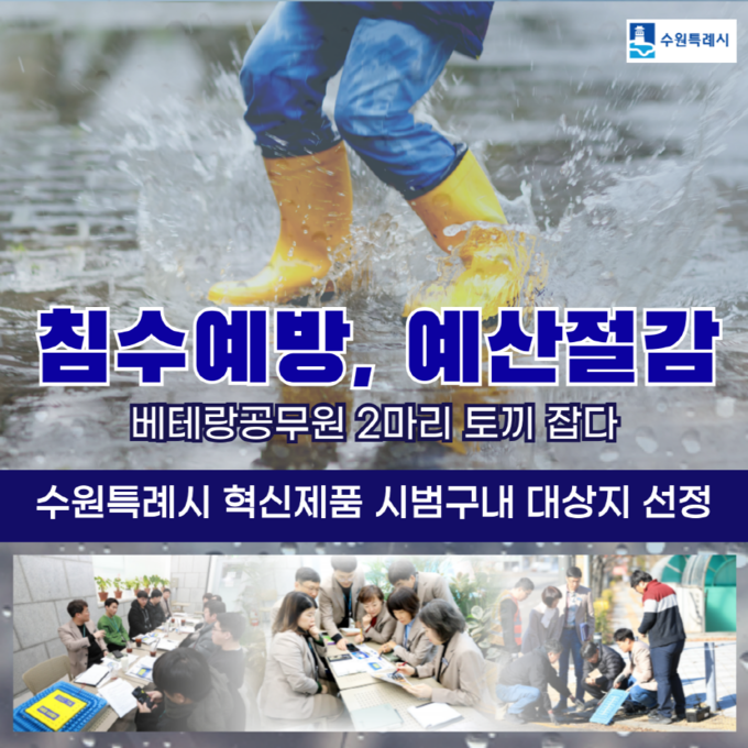 홍보물.