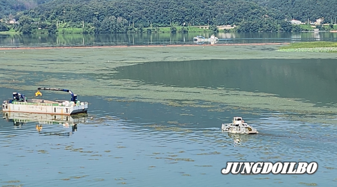 팔당호에 발생한 녹조를 제거하고 있는 모습. = 사진 경기도