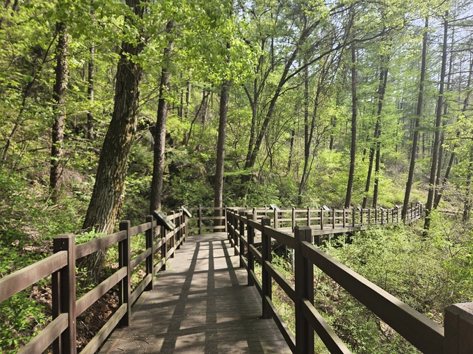 용인특례시는 처인구 왕산리 산93번지 인근 태교숲길의 파손된 시설물을 보수했다 사진=용이시