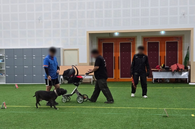 지난 14일 시흥시에서 맹견사육허가제에 따른 '기질평가'를 올해 처음으로 실시하고 있다 사진=경기도