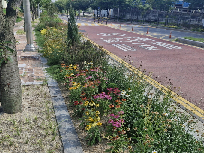 입북초등학교 인근 자녀안심 그린숲