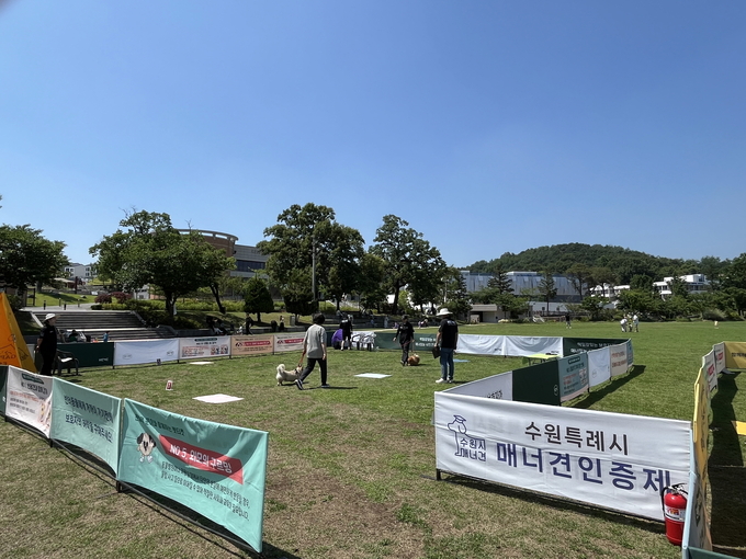 매너견 인증테스트를 하는 모습.