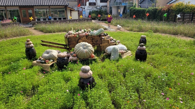 행궁동 105-8 일원 ‘북지터’에 조성된 ‘호박 포토존’