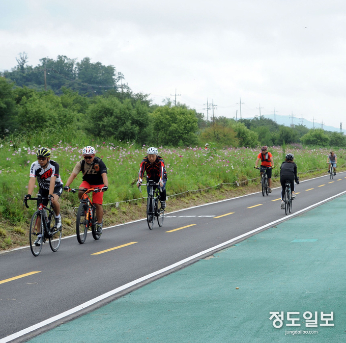 성남 탄천서 자전거 타는 시민들