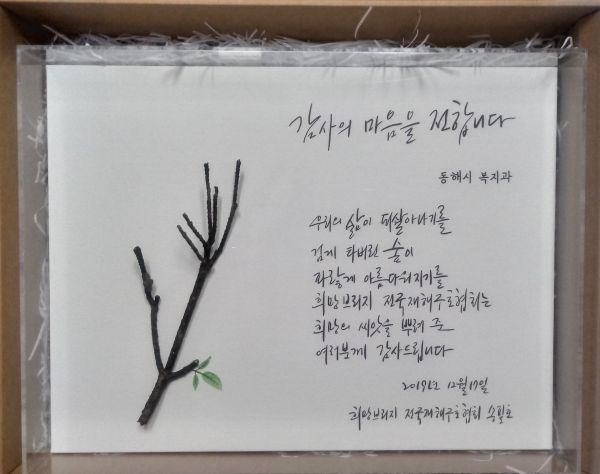 동해시, 희망브리지 전국재해구호협회 감사패 수상