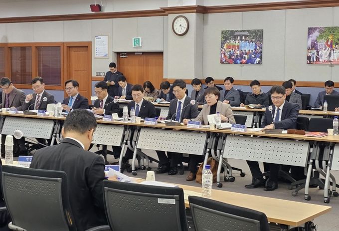 중앙·지방정책협의회에서 임수정 수원시 베테랑팀장이 발표하고 있다.