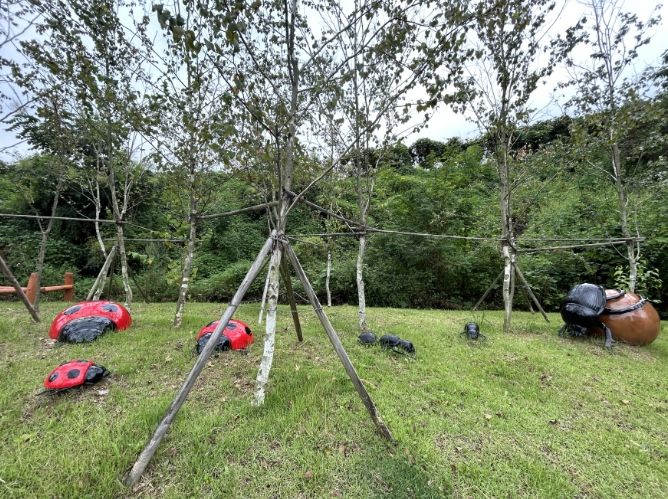 자연형 공원조성