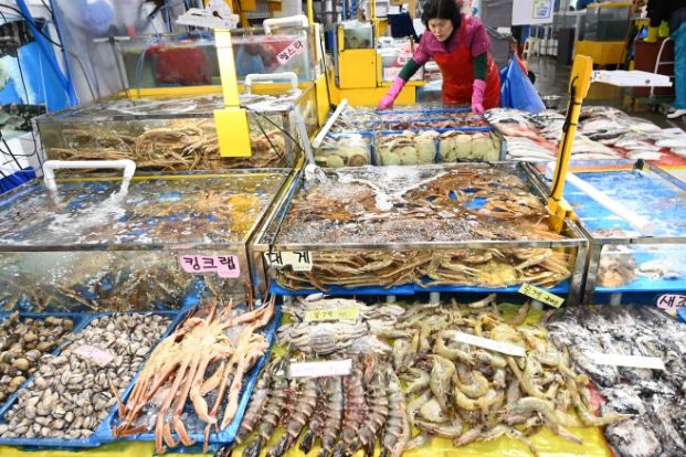 수원시 농수산물도매시장 수산동
