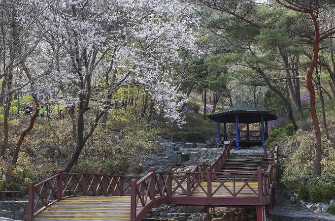 소래산 산책로