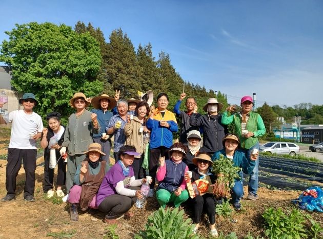 남촌동 통장단협의회, 사랑의 고구마 심기