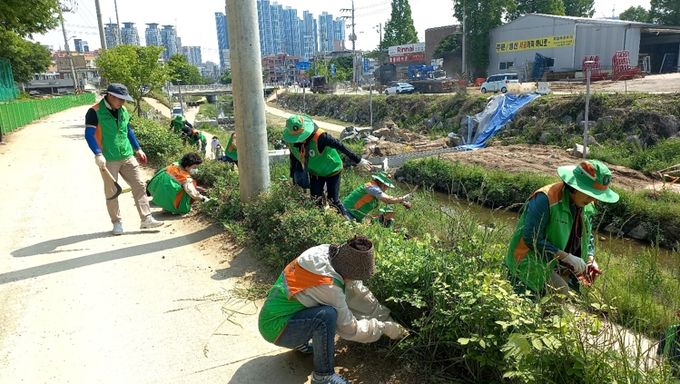 시흥시 신천동, 한발 앞선 제초활동으로 깨끗하고 쾌적한 신천 조성