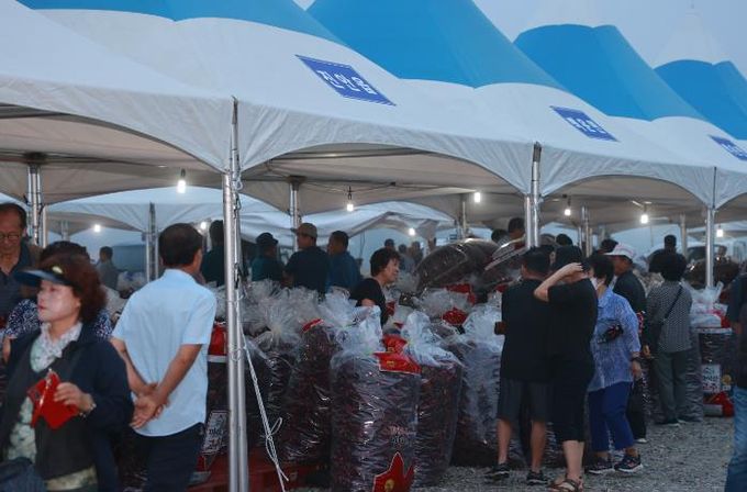 진안고원 마이산 고추시장, 8월 4일 개장