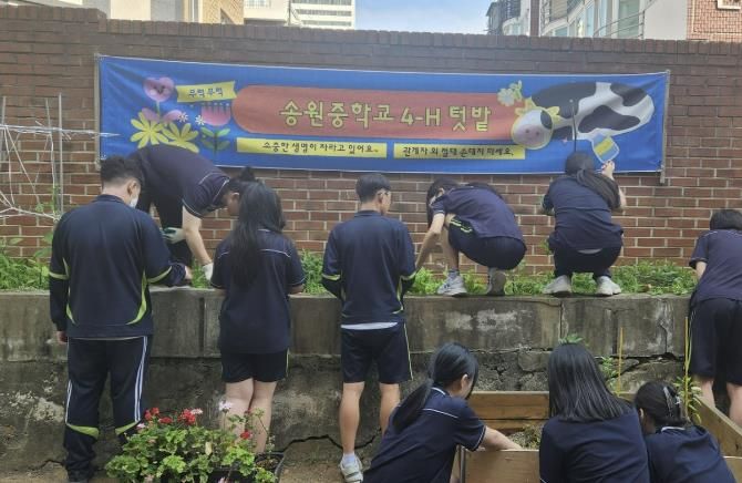 학생들이 4-H 텃밭 가꾸기 과제활동을 하고 있다