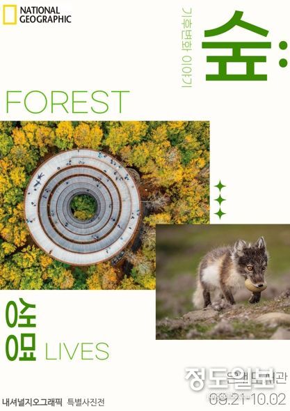 시흥시 은계도서관, ‘내셔널지오그래픽’ 특별 사진전 10월 2일까지 연다