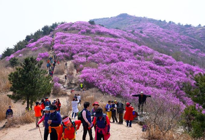 여수시, ‘영취산’으로 명칭 통일…통용성·인지도 등 고려