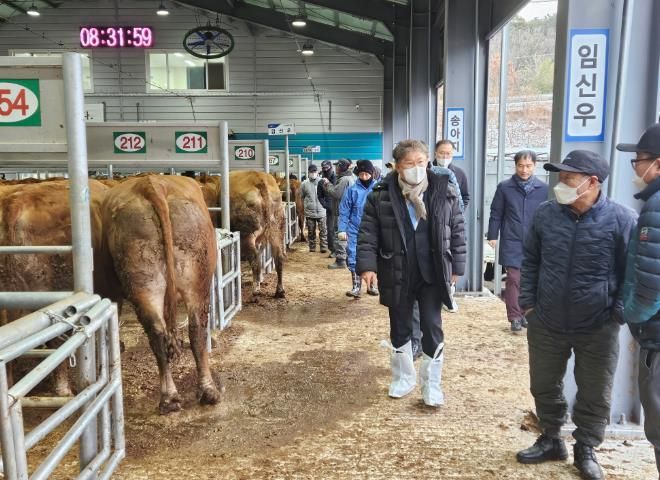 장세일 영광군수, 설 명절 앞두고 영광가축시장 방문