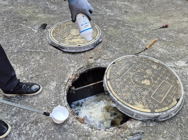 고흥군, 겨울에 미리 잡는 모기 유충구제 사업 실시