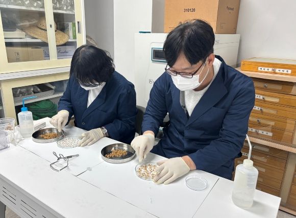 본격적인 영농철에 앞서 안전한 육묘를 위해 벼 종자 발아력 검사를 무료로 지원한다.