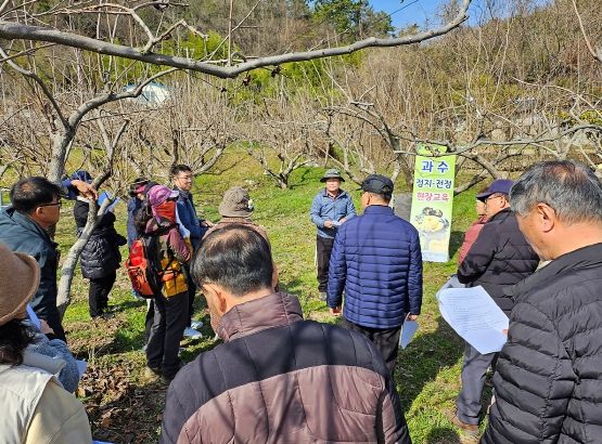 지난해 실시한 ‘여수시 과수 정지·전정 현장 교육’