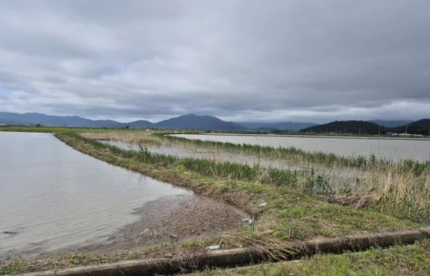 고흥군, 2025년 해창만 배수개선사업